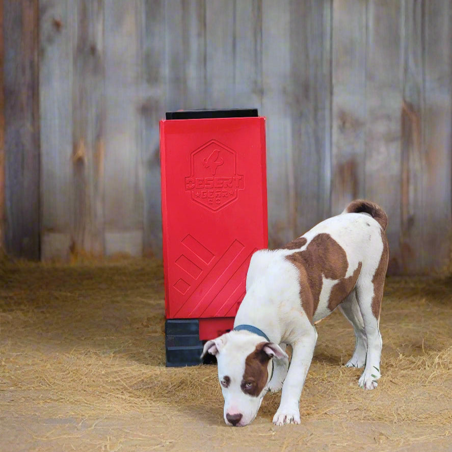 Pet Self Feeder
