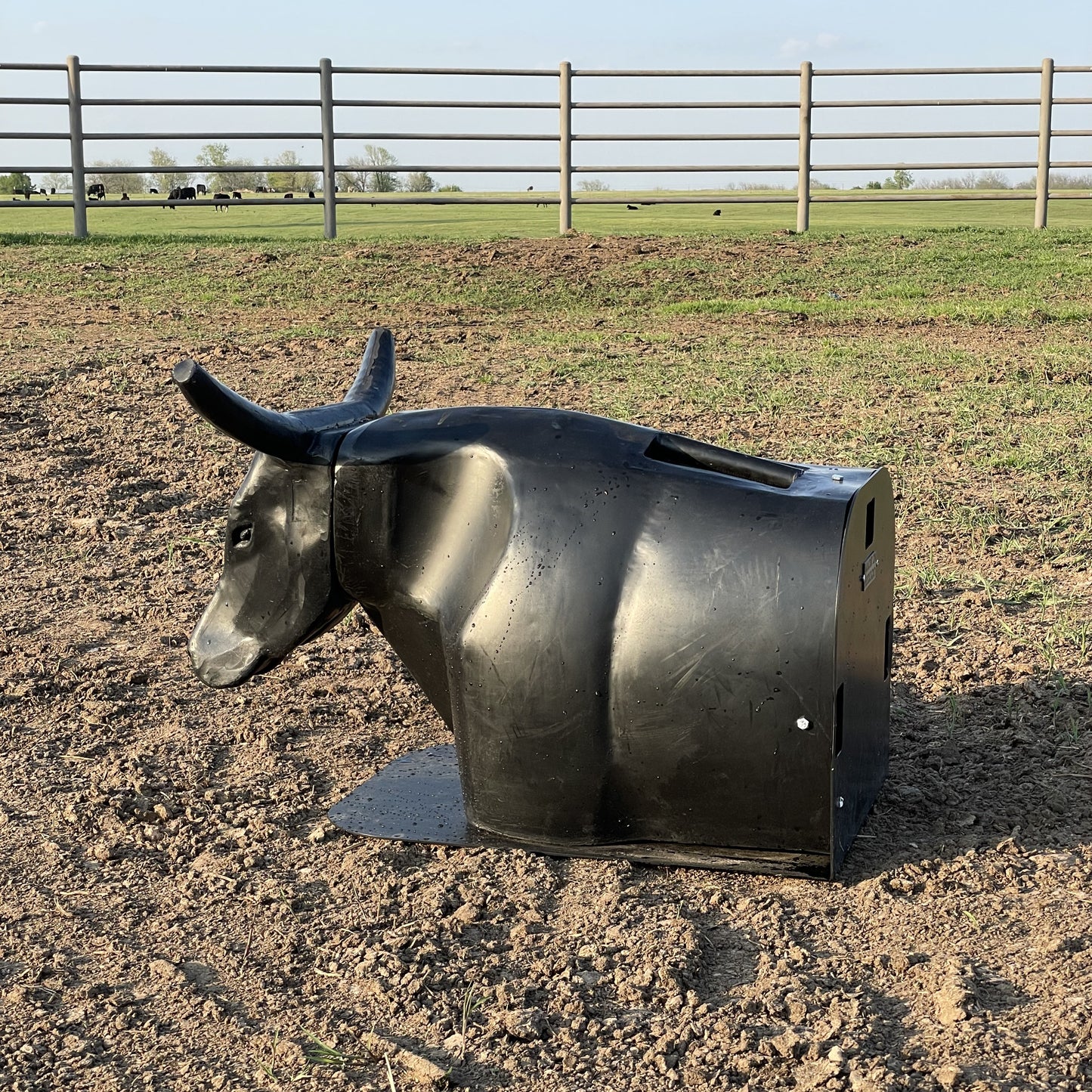 Roping Dummy Head