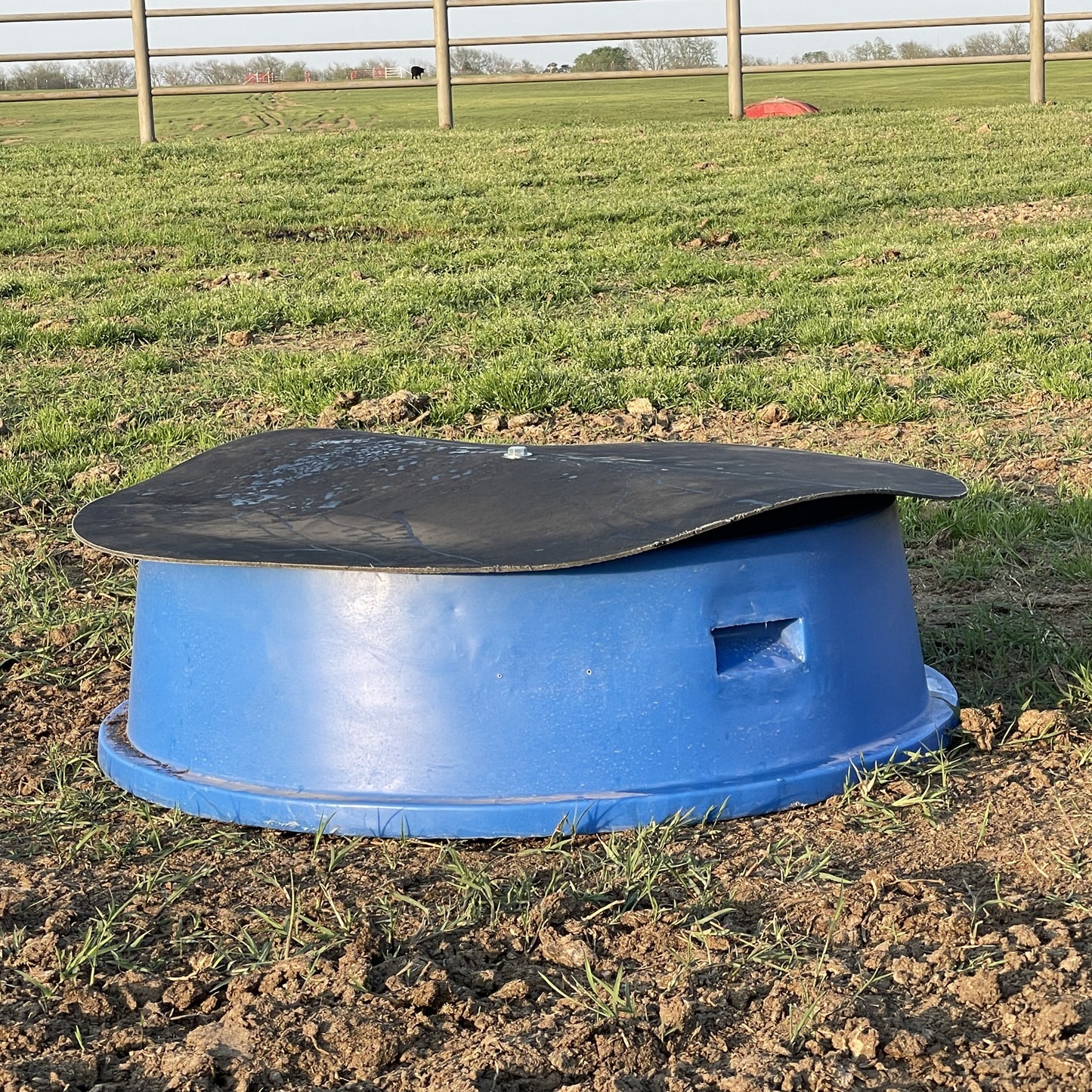Mineral Feeder, Ground Level